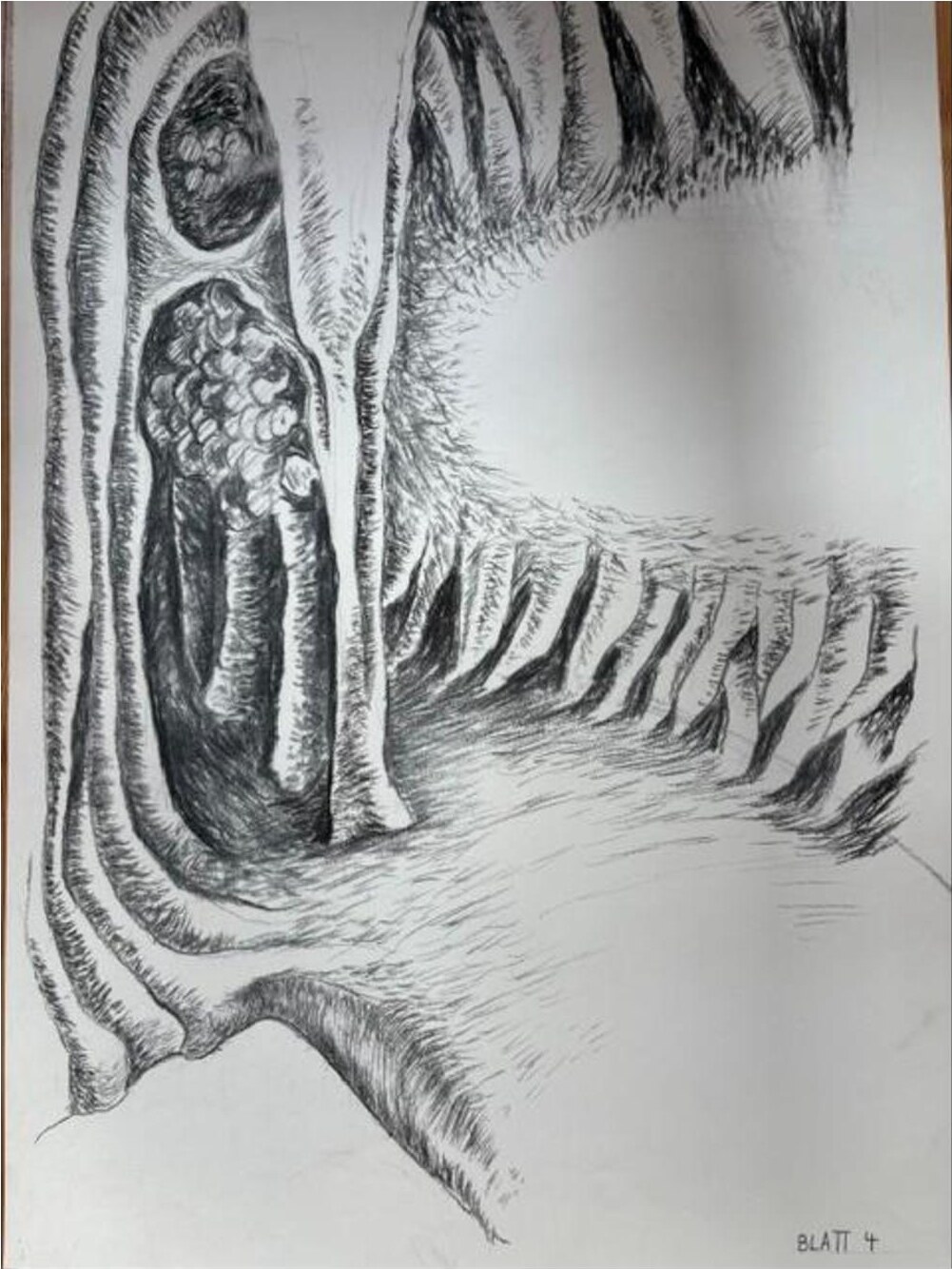 Blatt 4 – Bleistift auf Papier · 62 × 43 cm – Hubert Rathgeber